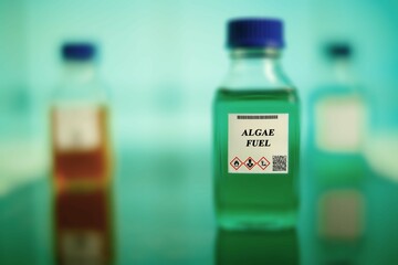 Algae Fuel