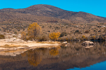 Autumn landscape with lake and trees with golden leaves. Selective focus. Copy space.