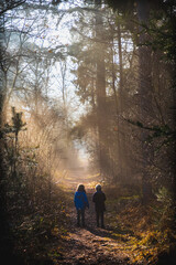 Fototapeta na wymiar Kids walking in the forest with beautiful winter sunlight