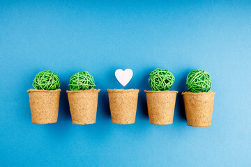 a blue wooden heart in the third pot for plants, in the other four green balls. love and parasites