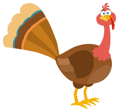 Thanksgiving Turkey Bird Cartoon Mascot Character. Hand Drawn Illustration Isolated On Transparent Background