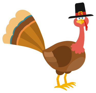 Thanksgiving Turkey Bird With Pilgrim Hat Cartoon Character. Hand Drawn Illustration Isolated On Transparent Background