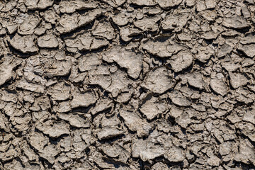 A full frame photograph looking down at cracked dry soil in hot weather