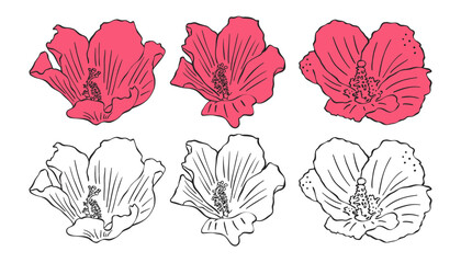 Collection of flowers, vector illustrations with red hibiscus, vector outline, hand drawing.