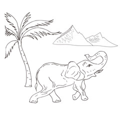 Elephant, palm tree, mountains. Sketch, vector illustration.