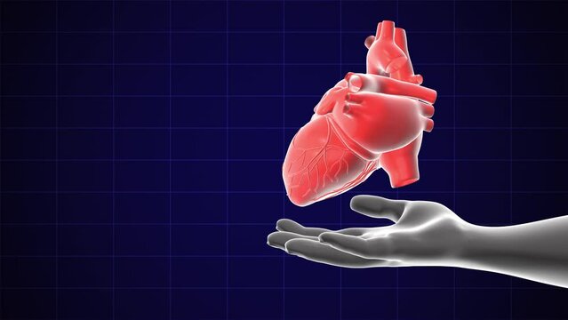 Medical concept of hand holding rotating heart