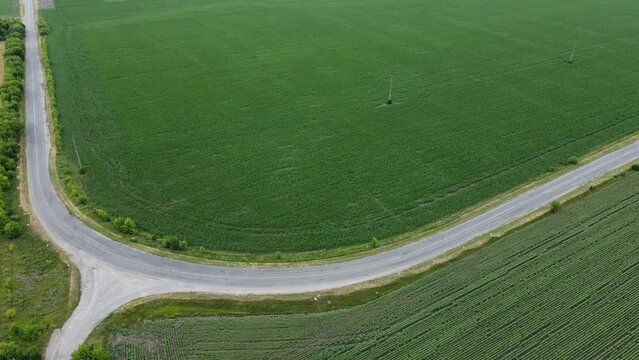 Circular Road Near The Fields From A Height. Driving Cars. Filmed On A Drone.