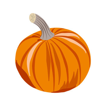 Orange pumpkin, vector illustration isolated on white background. Ripe yellow pumpkin round shape, striped, brown stem. Color drawing for poster, banner, print, greeting card, Thanksgiving holiday.