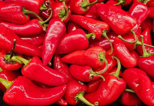 Red Fresno Chili Peppers on a vegetable market stand. Cultivar of Capsicum annuum, specifically grown in the San Joaquin Valley of California.
