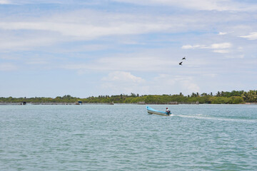 A man alone sailing a boat in the middle of a lagoon