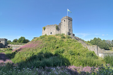 Fototapeta na wymiar Cardiff castle