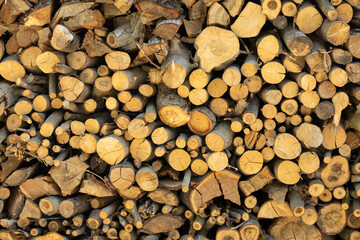 Cross section of tree trunks background. Cutting tree trunks placed together for interior decorate, background