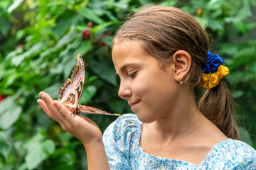 Child holds a butterfly on their hand. Coscinocera hercules. Selective focus.