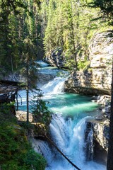 Obraz premium Johnston Canyon falls, Alberta, Canada