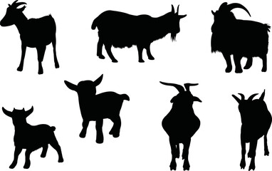 Pygmy Goat Eps Vector,  Silhouette, Logo, Pygmy Goat  Eps Vector Cut Files for Cricut Design, Pygmy Goat  Digital Commercial Clipart 
