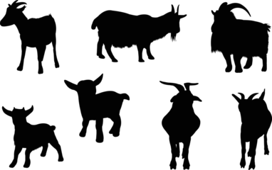 Fotobehang Pygmy Goat Eps Vector,  Silhouette, Logo, Pygmy Goat  Eps Vector Cut Files for Cricut Design, Pygmy Goat  Digital Commercial Clipart  © Loveleen