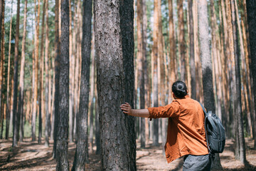 Portrait from the back of a young man with a backpack on a walk in a pine forest on a sunny day. The guy breathes fresh air in a coniferous forest
