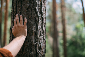 A man's hand is lying on a tree trunk in a pine forest on a sunny day.