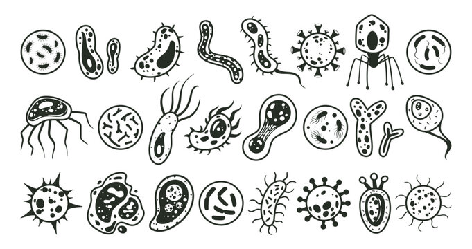 Bacteria and microbes, cartoon germs, microorganisms silhouettes. Cartoon biological organisms, viruses, bacteria, fungi flat vector illustration set. Microbes collection