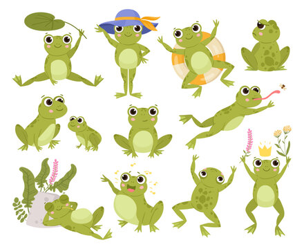 Green cartoon frogs, active water animals, cute amphibian. Funny frogs, sleeping and jumping froglets flat vector illustrations set. Cute froggy collection