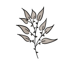 Watercolor Flower leaves