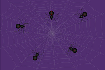 Spiders on web. 