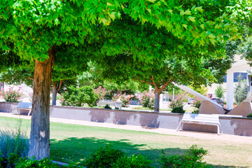 Beautiful, clean, city  park full of shade trees and flowers.