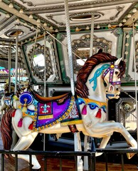 Carousel Horse  © Paige