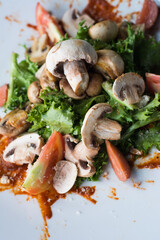 Salad with mushrooms. Mushroom soup. Toasted bread with mushrooms. roasted mushrooms