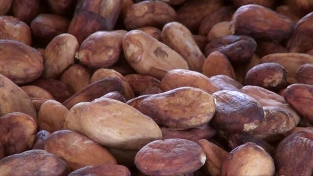 Making artisanal chocolate - Tapachula - Mexico