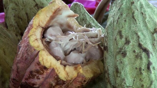 Making artisanal chocolate - Tapachula - Mexico