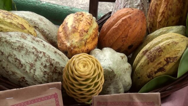 Making artisanal chocolate - Tapachula - Mexico