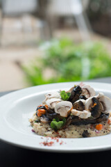 Salad with mushrooms. Mushroom soup. Toasted bread with mushrooms. roasted mushrooms