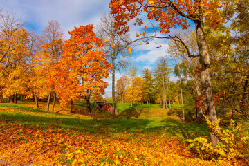 Autumn landscape of park in Pushkin, Saint Petersburg, Russia