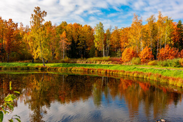 Fototapeta na wymiar Autumn landscape in Alexander park, Pushkin, Saint Petersburg, Russia