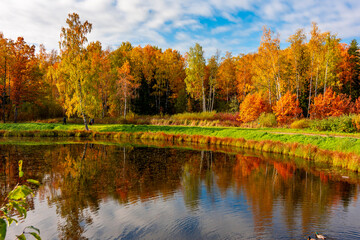 Autumn landscape in Alexander park, Pushkin, Saint Petersburg, Russia