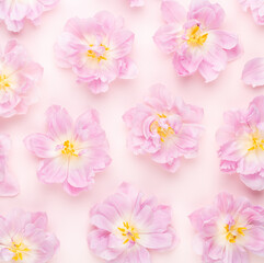 Fototapeta na wymiar Pink tulips blossom pattern on pastel background.