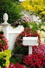 White picket fence and cute mail box covered in beautiful bright red and pink blooming flowers 