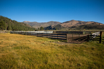 A Vintage and Abandoned Ranch Cattle Corral and Chute