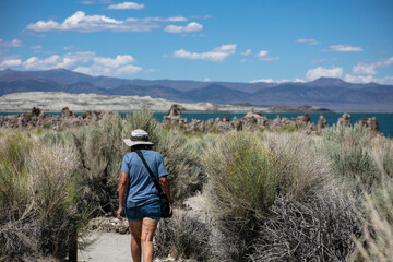 The Famous Mono Lake with Geological Tufa Formations in the Sierra Nevada Mountains with a...
