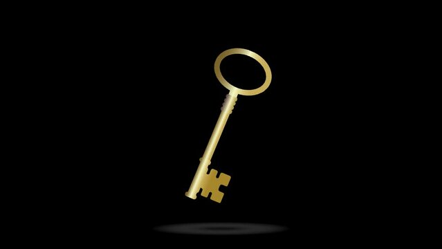 Golden key illustrator spin in black background