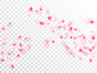 Japanese cherry blossom pink flying petals
