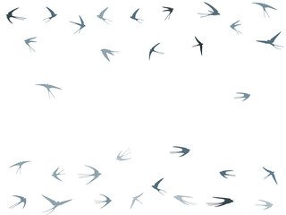 Flying swallow birds silhouettes vector illustration. Migratory martlets school isolated on white.