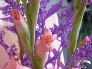 Naklejka premium Bouquet composition with blue dry branch and gladiolus. Beautiful gladiolus flowers. gentle beautiful pastel romantic floral composition.Postcard, congratulations