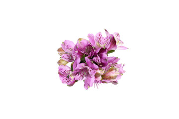 Fototapeta na wymiar 白背景のアルストロメリアの花束