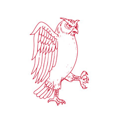 Great Horned Owl Marching Drawing