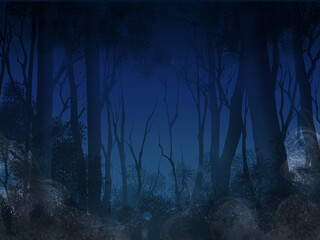 風景　夜の森