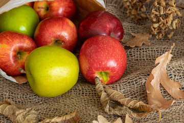 Close up view of autumn apples in an autumn scene