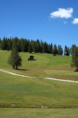 Pascoli estivi d'alpeggio in Alta Badia - 524747919