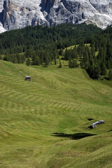 Pascoli estivi d'alpeggio in Alta Badia - 524747922